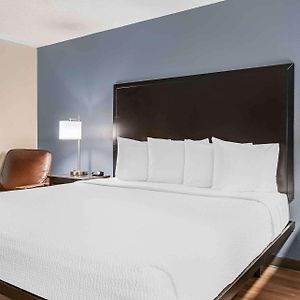 Studio 1 King Bed Non-Smoking